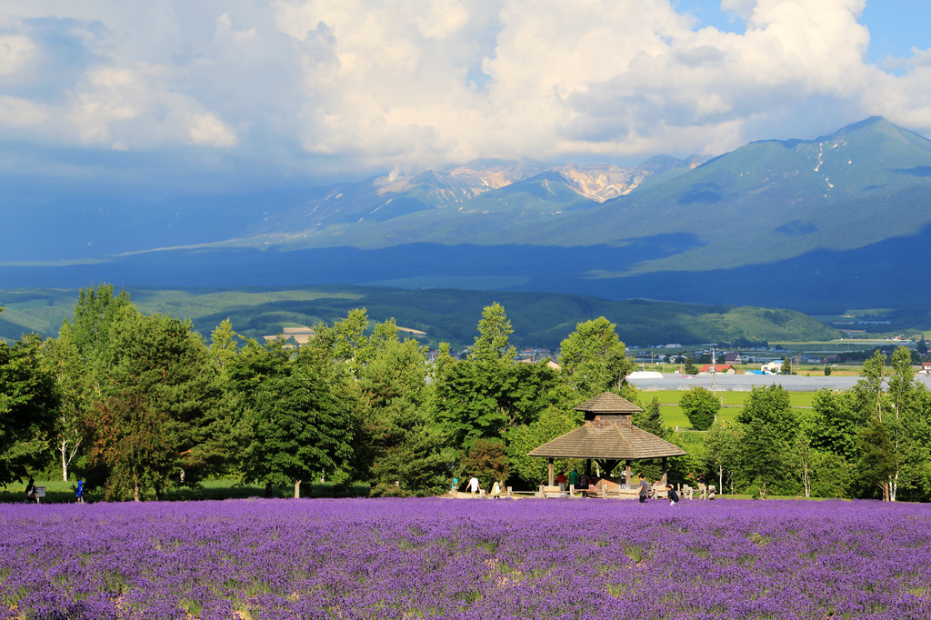 一部《非诚勿扰》炒红了北海道,多少人幻想寻着影片的足迹走访那些关于爱与感动的故事,在北海道最纯净的秘境中享受难得的宁静,在路途中与那些灵动的生命不期而遇。虽然知道艺术源于生活却高于生活这个道理,但我对北海道依然抱着很高的期望。终于,这个夏天,短暂的北海道之行虽然不算完整,但绝对完美。