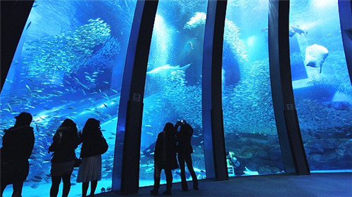 【兰州】日本京都+大阪+箱根+东京6日跟团游