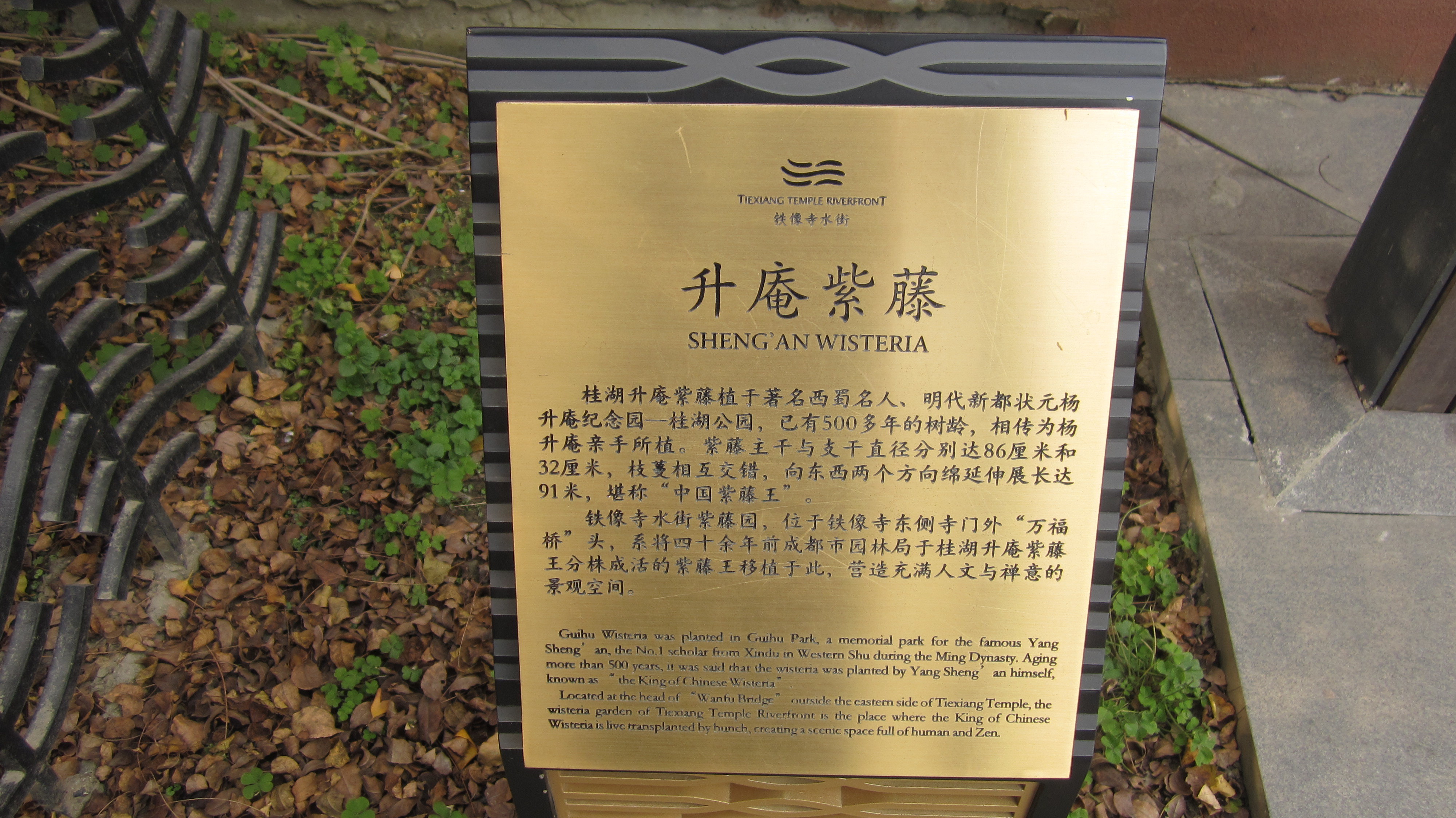 四川*成都*高新区*铁像寺水街,你错过了什么