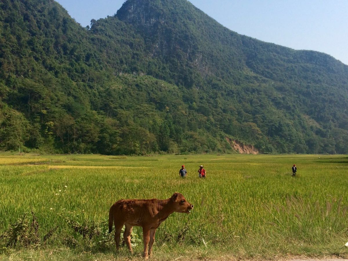 连南旅游景点推荐 去哪儿攻略社区