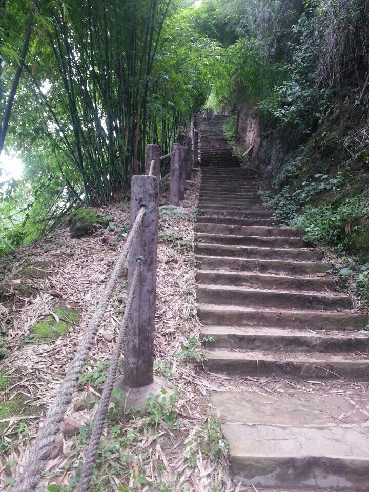 短途登山亲子游推荐之雅安金凤山旅游景区