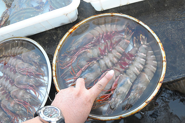 三亚第一市场海鲜精华篇 - 三亚游记攻略