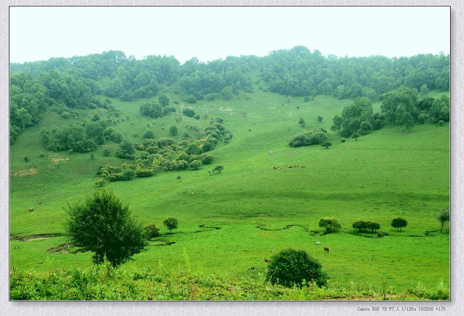 关山牧场旅游攻略_宝鸡关山牧场攻略_关山牧