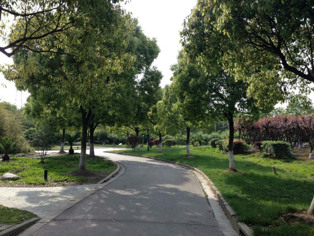上海周浦公园好玩吗,上海周浦公园景点怎么样_点评