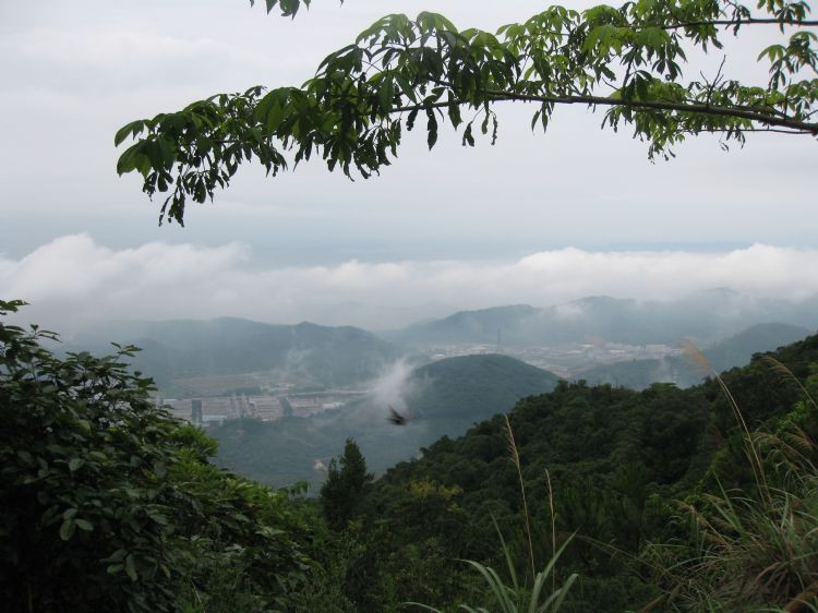 在山顶,眺望这座熟悉而陌生的城市.