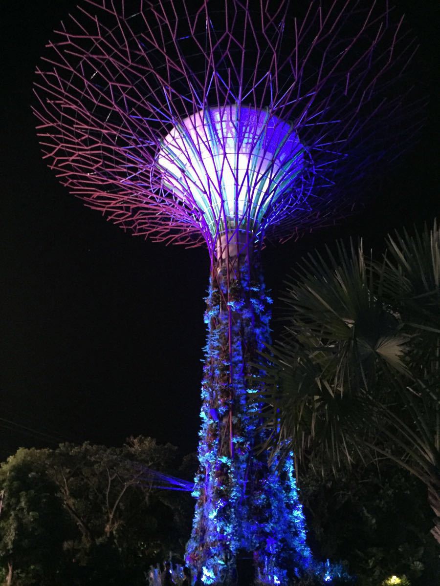 【携程攻略】新加坡金沙空中花园景点,很壮观!没有,没