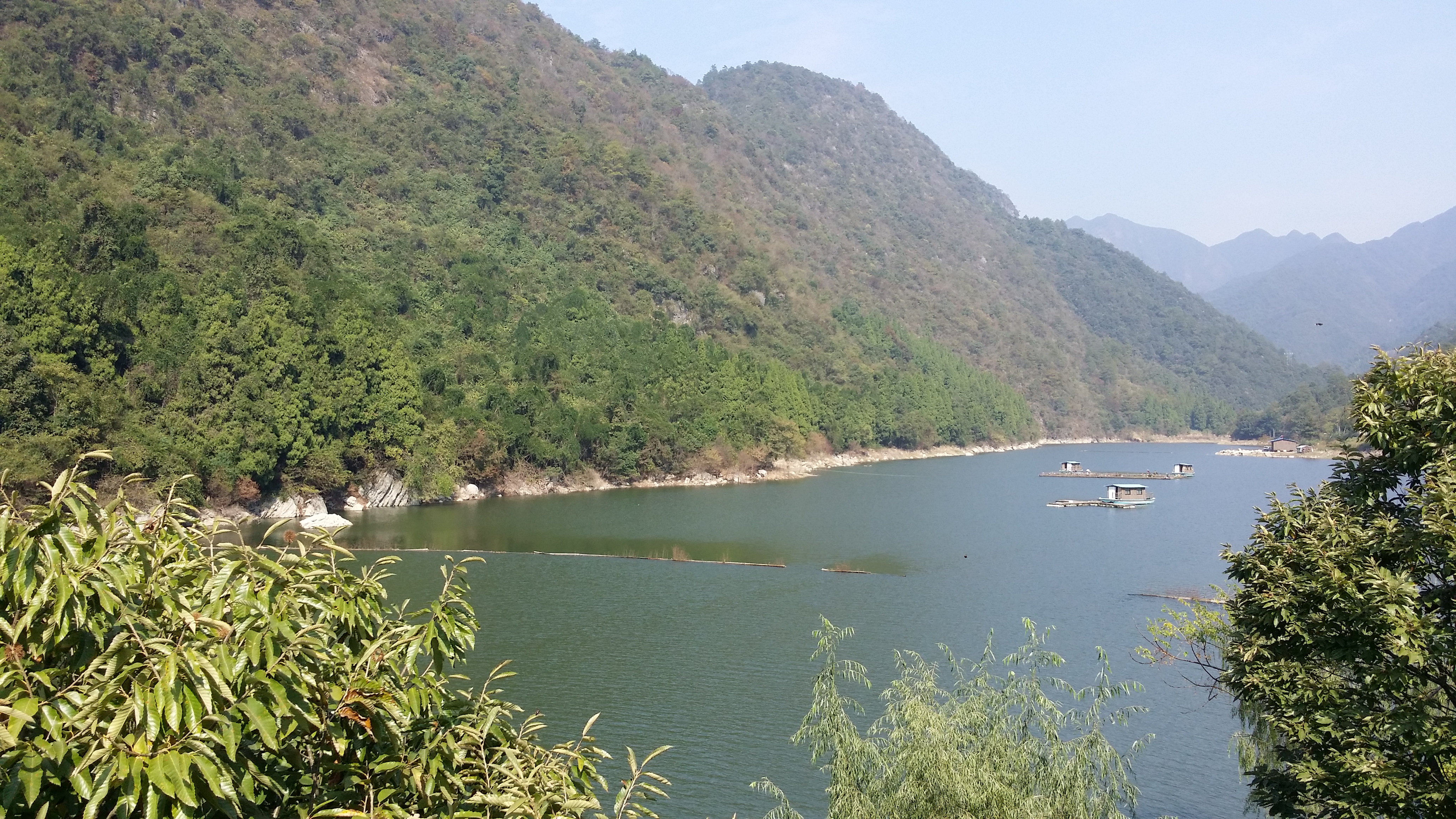 千岛湖森林氧吧