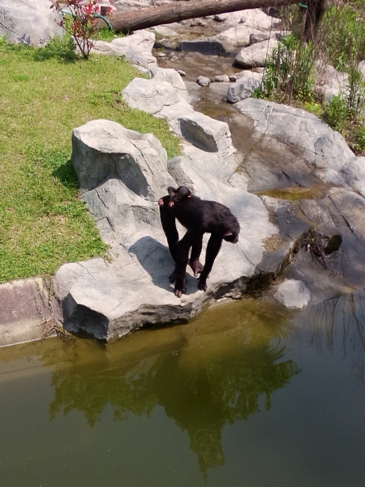万隆旅游攻略徐州到常州恐龙园_上海动物园旅游攻略_天津绿博园旅游攻略