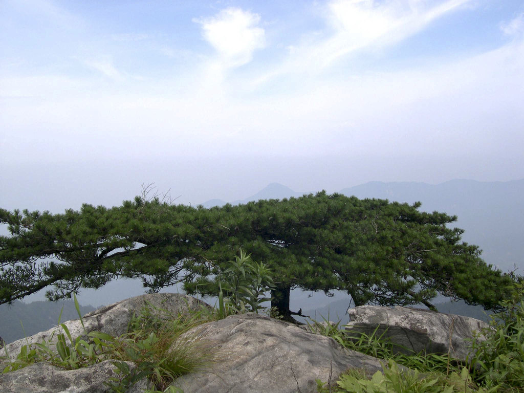 大别山主峰三日游白马尖-龙井峡-别山湖游记