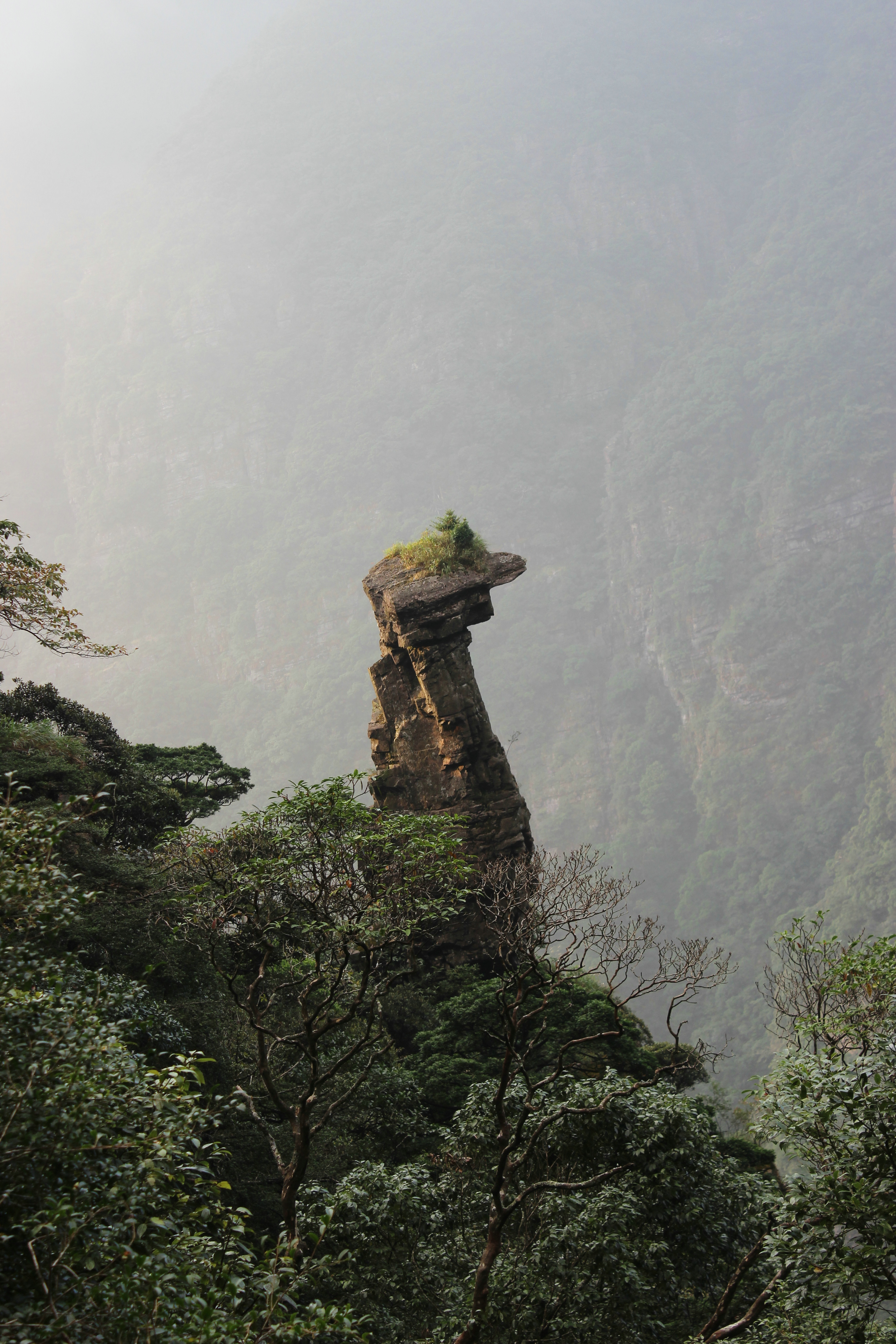 金秀圣堂山