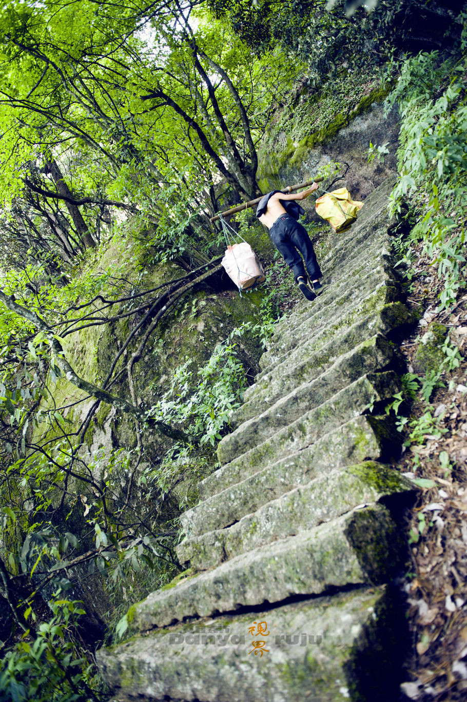 《江西》杜鹃花开,奇观栈道,峡谷云雾三清山(风光篇)