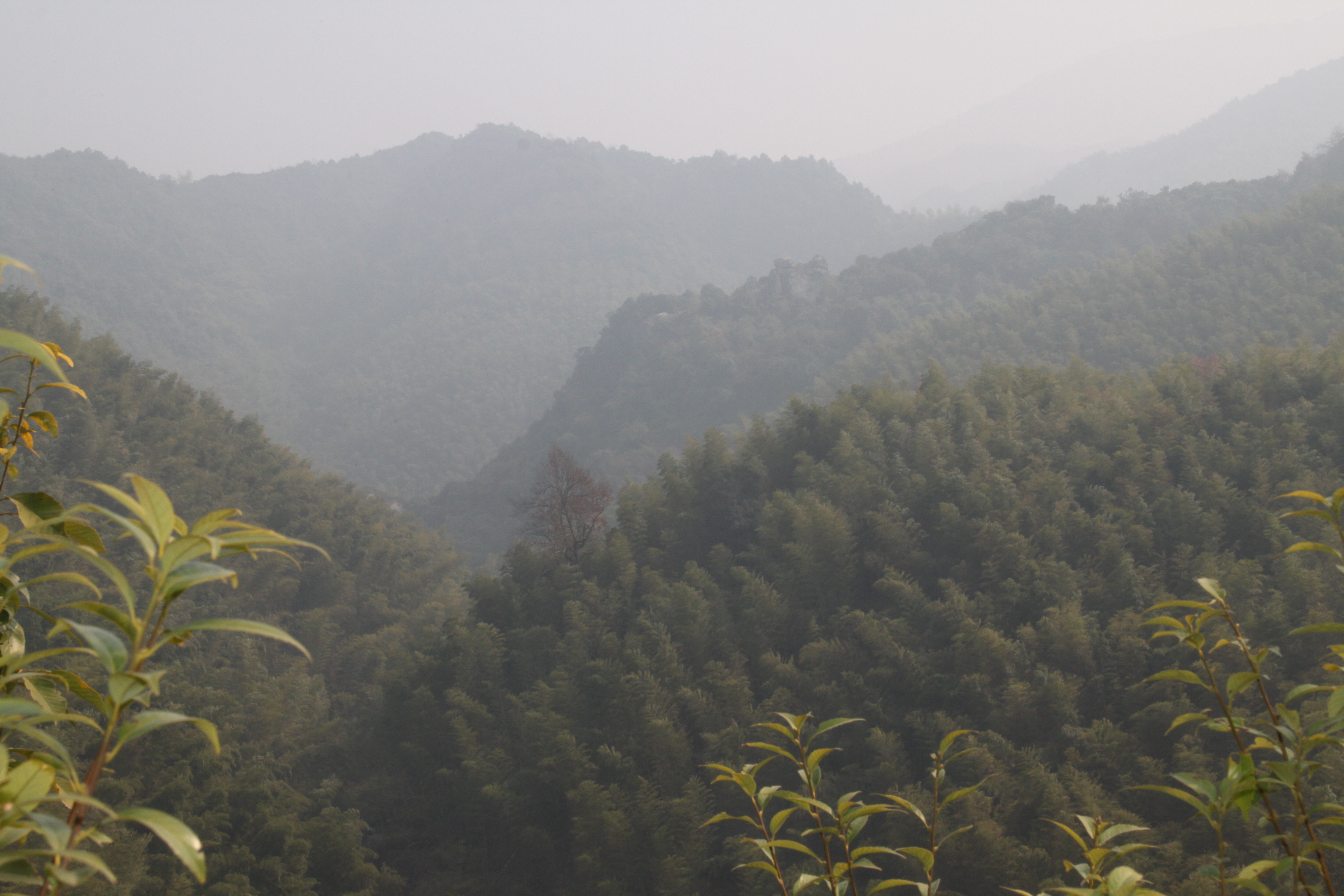 采风玉华山