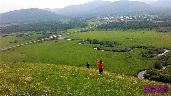 一只蚱蜢猜成语_蚱蜢简笔画(3)