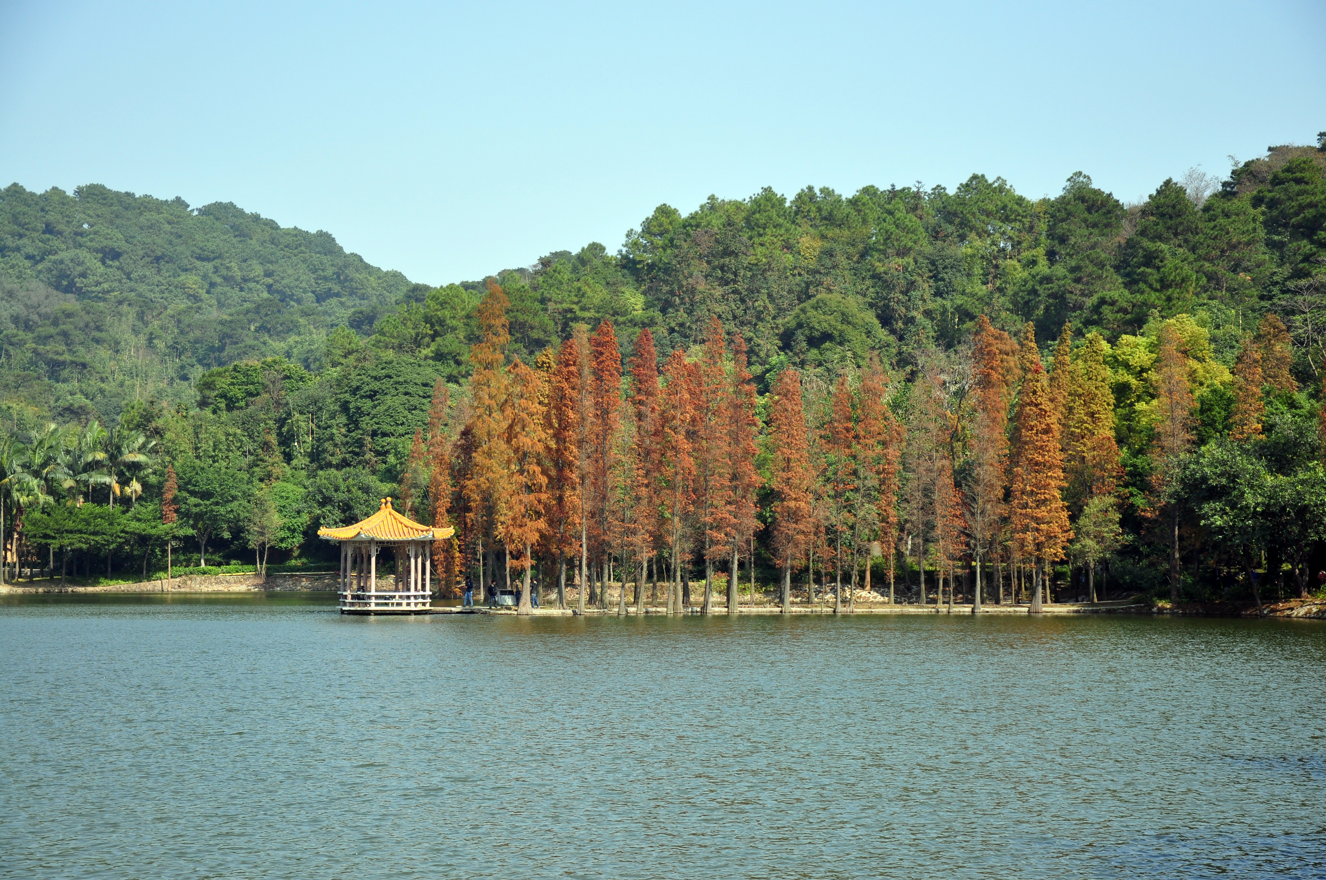 周日登西樵山 拜南海观音 品特色斋菜/顺德菜