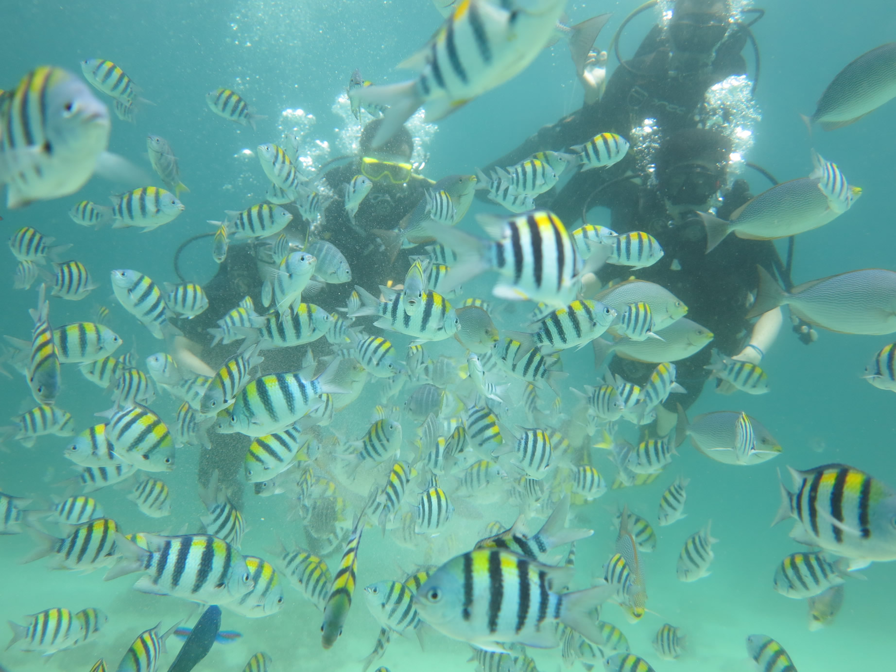 普吉岛6日5晚跟团游·幻多奇主题乐园+全程3