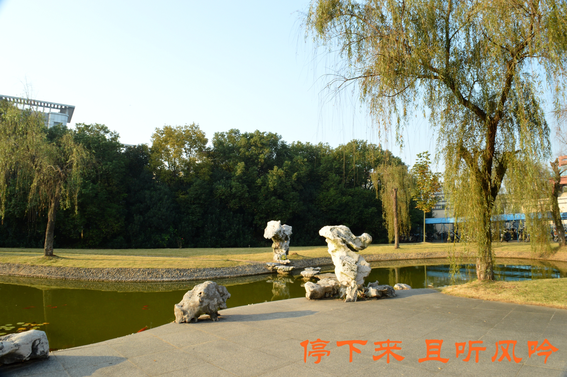 梦排名的地方高淳区高级中学开始杭州市余杭高中图片