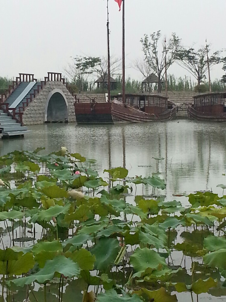 江苏宿迁泗洪湿地公园