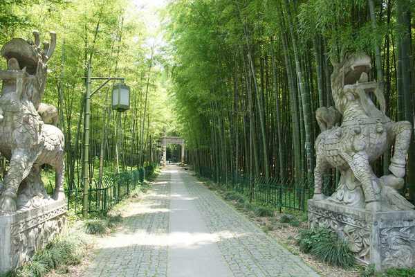 09端午云栖竹径-五云山-九溪十八涧悠游记