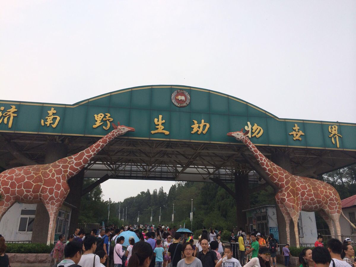 济南动物园恢复开园