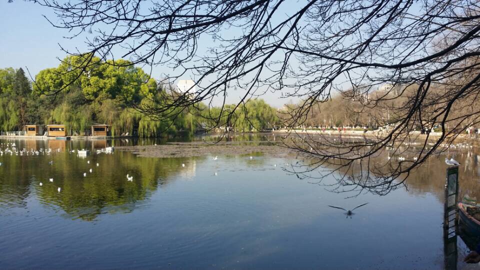 昆明翠湖公园门票