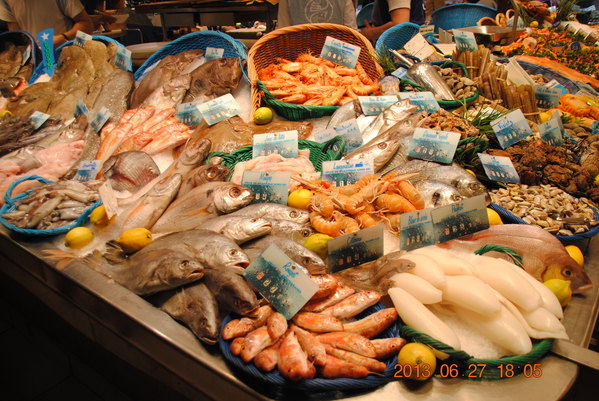 法国探亲自驾;瑞士北欧跟团(2013.6.25--8.8)《