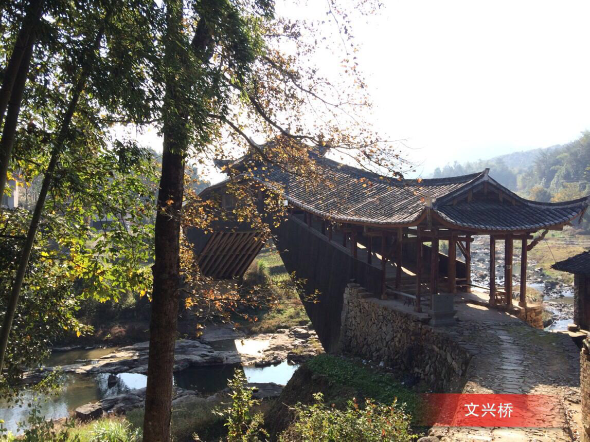 从秋走到冬,少游人,无门票的泰顺寿宁庆元龙泉景宁丽水近30个廊桥游