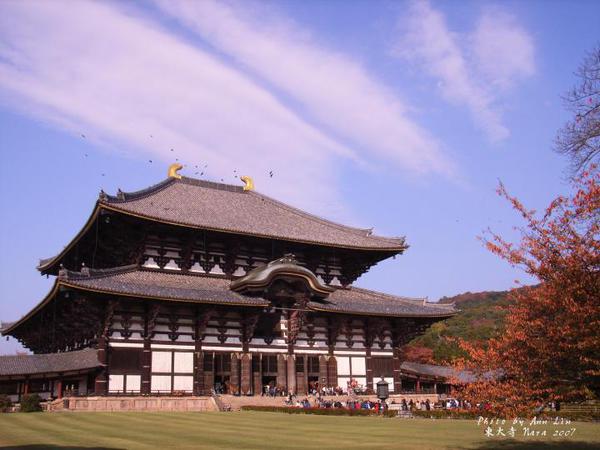 这是东大寺,东大寺的大佛殿供奉着奈良的大佛,是世界上最大的木造建筑