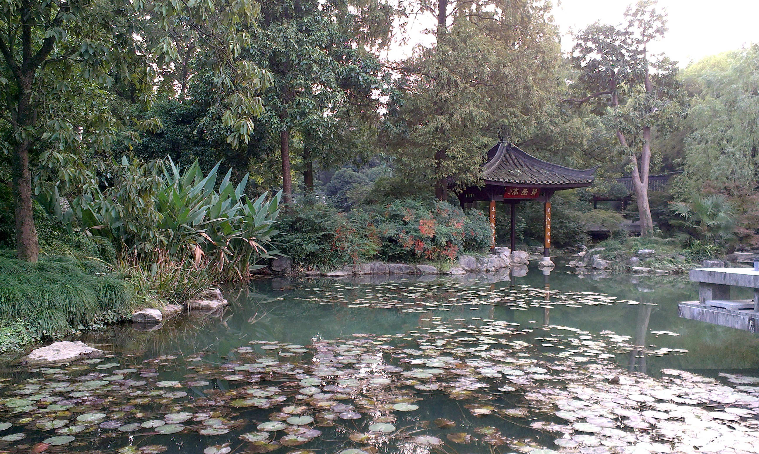 杭州植物园,杭州杭州植物园攻略/地址/图片/门票