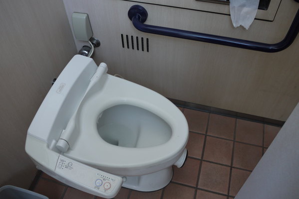 公用厕所内坐厕盖都是卫洗立之类带保温和冲洗的.室内没有异味.