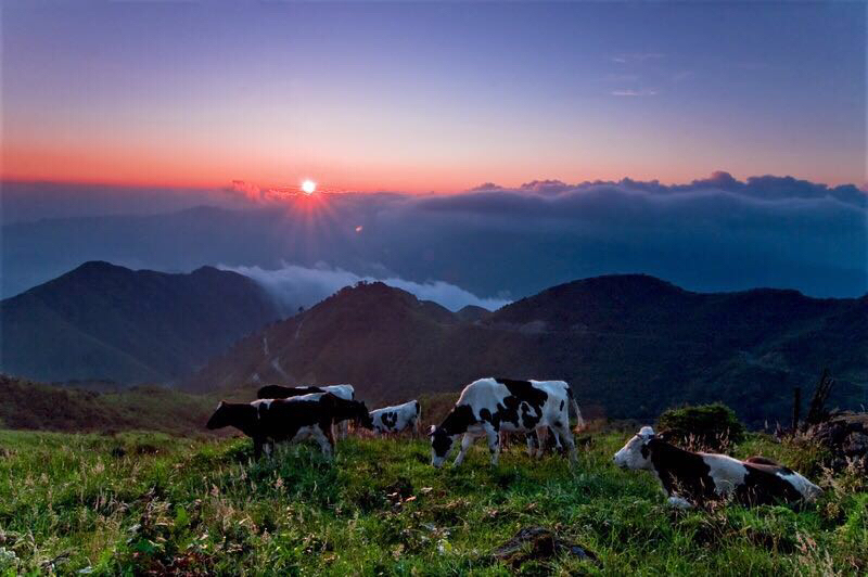 南山牧场 长沙城步3天2晚自驾游