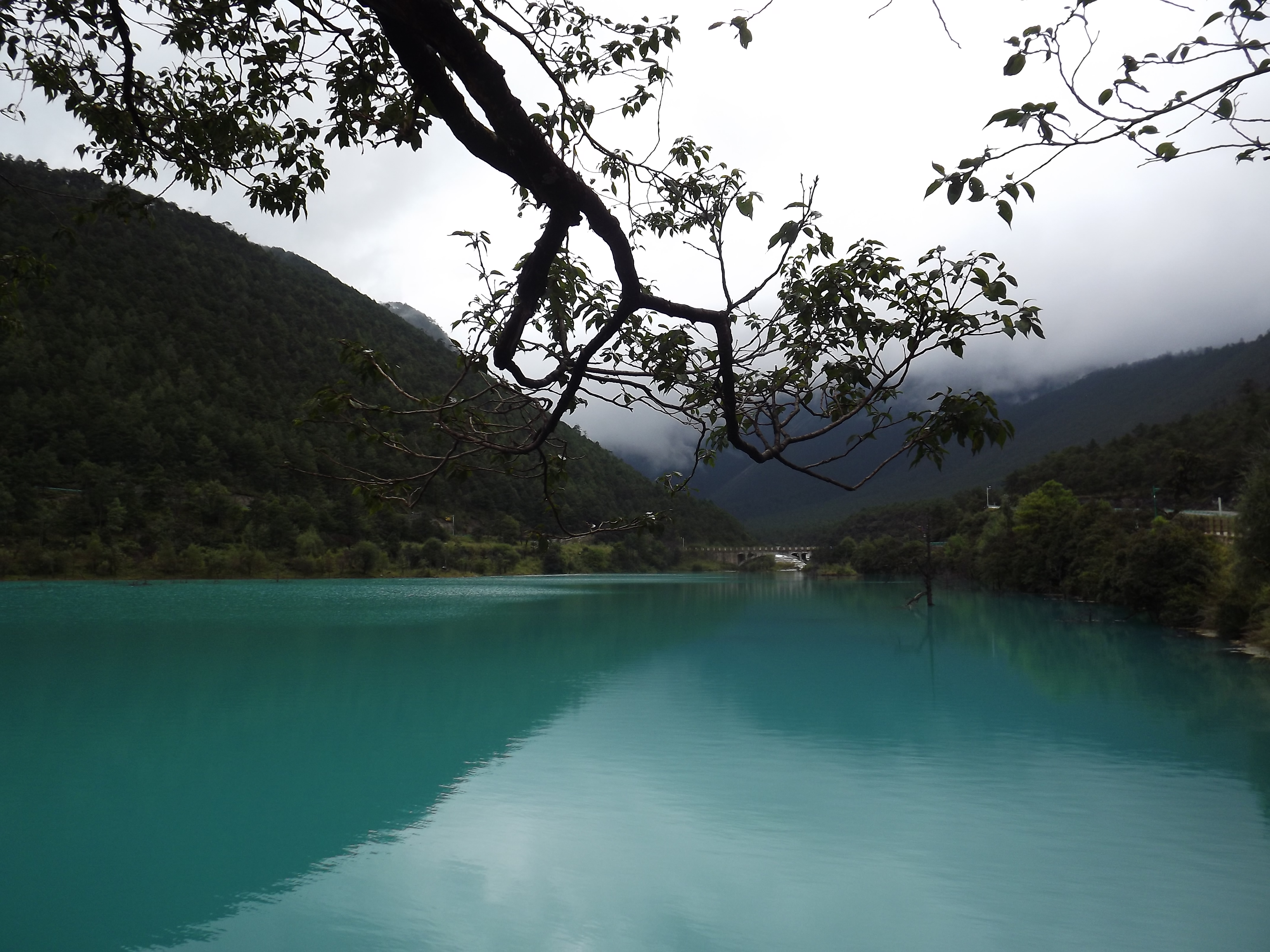 《一滴水经过丽江》文中提及丽江的历史,谈到