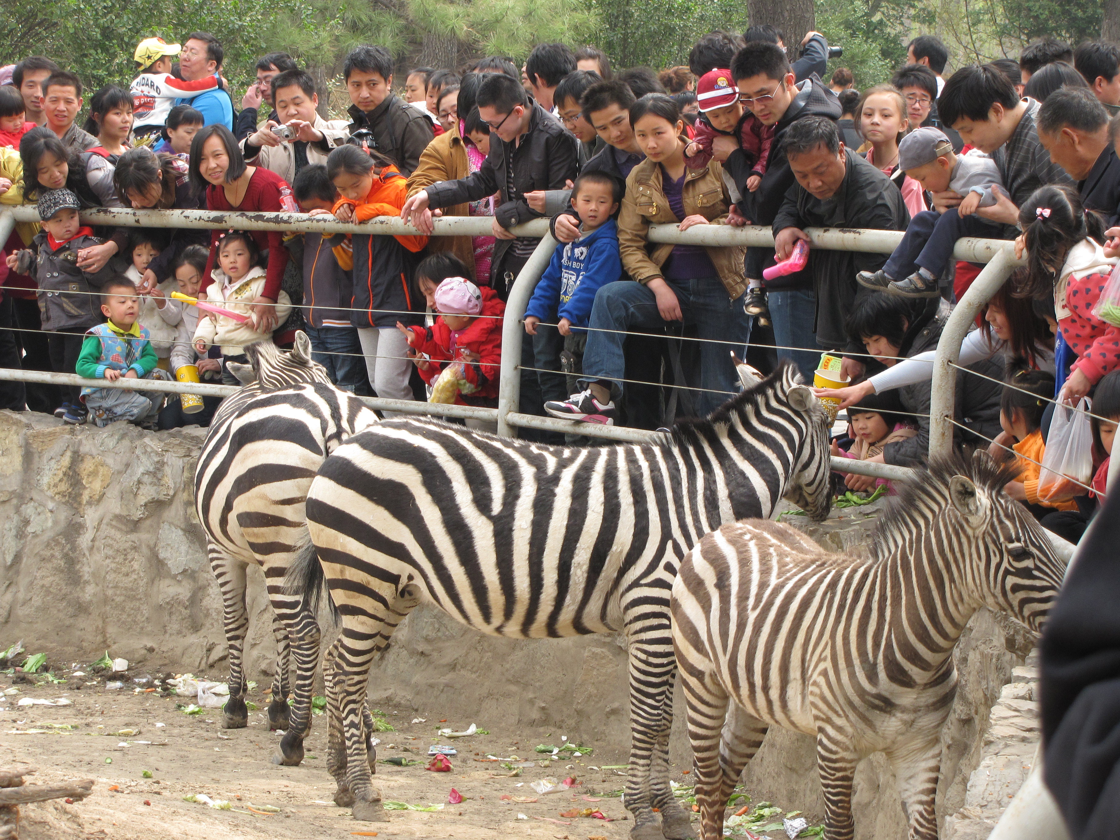 上海野生动物园的门票除了包括车入和步入,还包括什么?如:动物表演等?