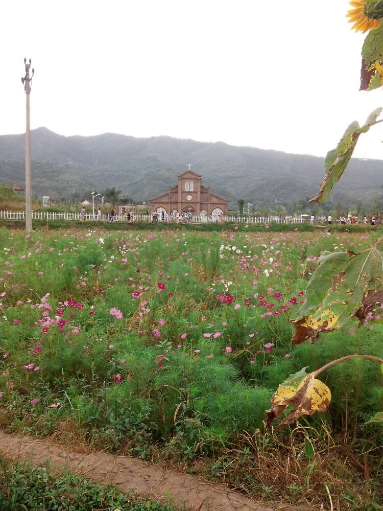 2019垫江乐天花谷_旅游攻略_门票_地址_游记点评,重庆