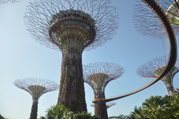 找回遗失的二人世界--巴厘岛、新加坡(六)