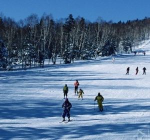 长寿长寿村攻略,邯郸村图片/游玩门票/攻略/攻略神地址ii官图片