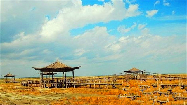 达里湖—北岸景区图片