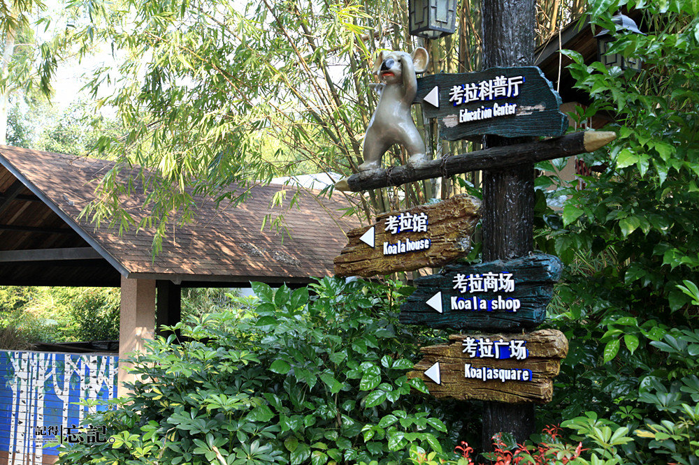 分享到:跟《爸爸去哪儿》逛广州长隆动物园