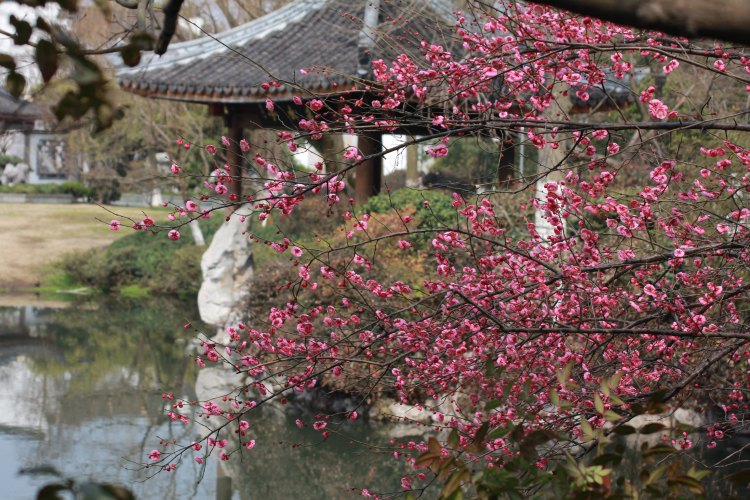 这是在钱王祠