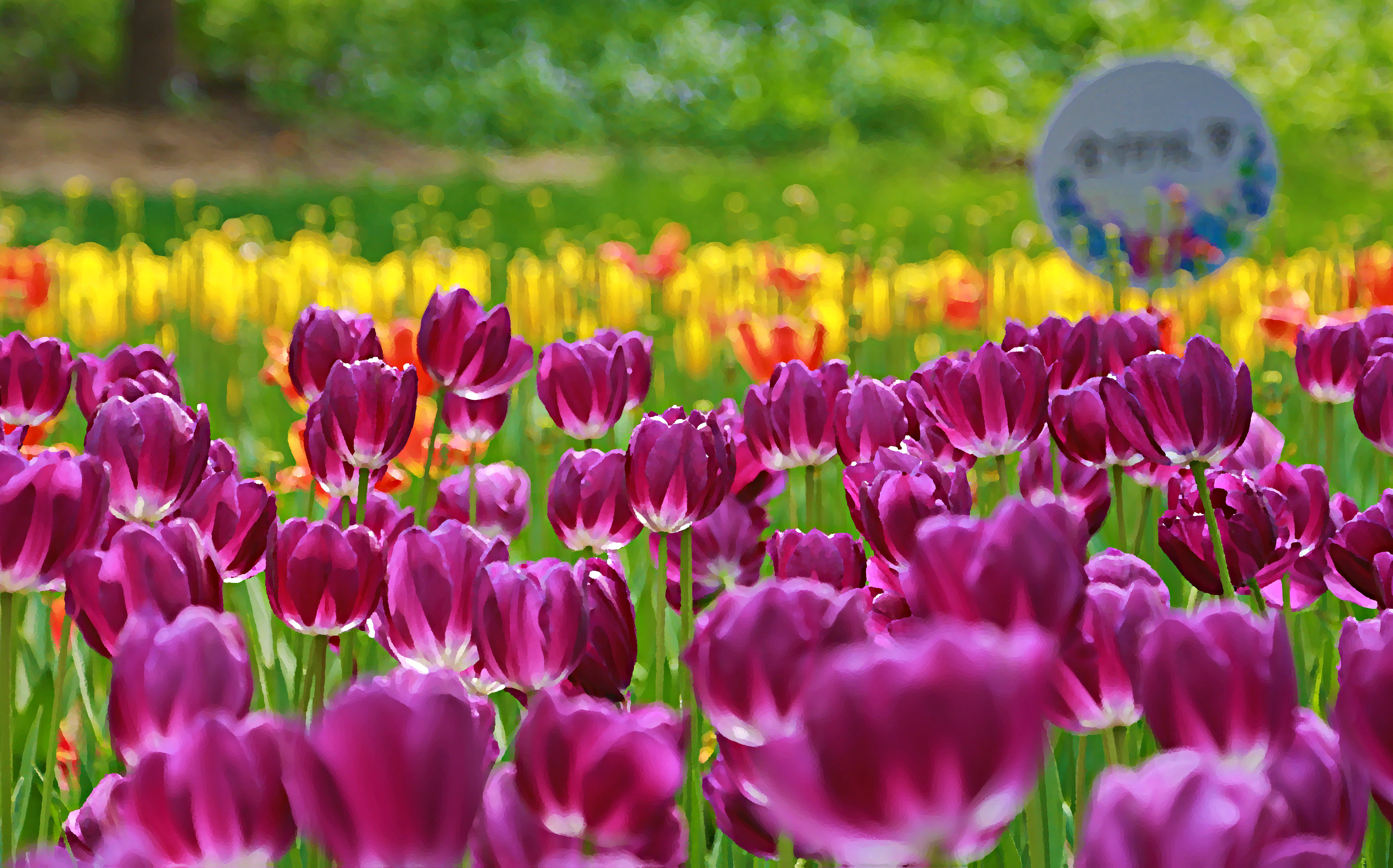 【北京花季】四月北京繁花似锦入画来!