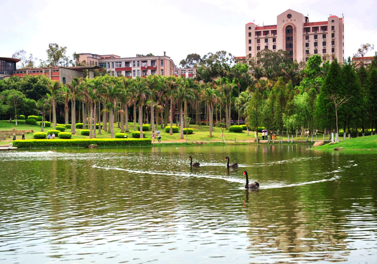 厦门大学芙蓉湖