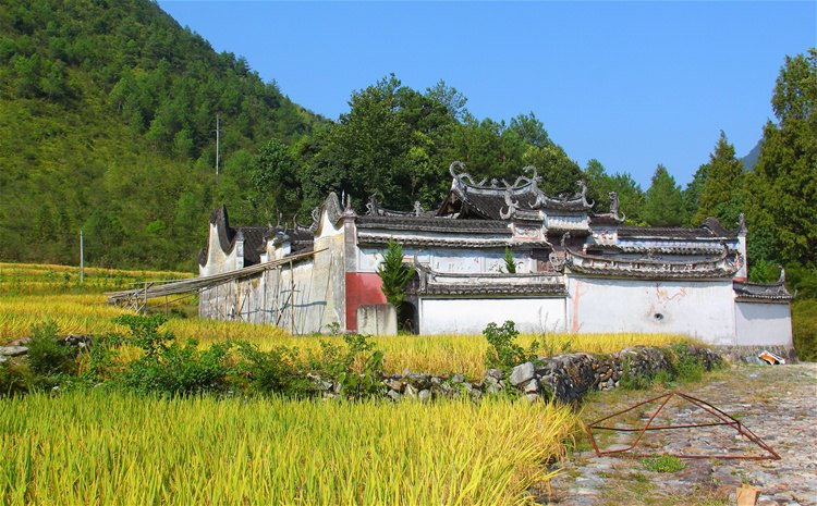 西洋殿堂远景西洋殿,位于庆元县西洋村,始建宋咸淳元年(1265,又称吴