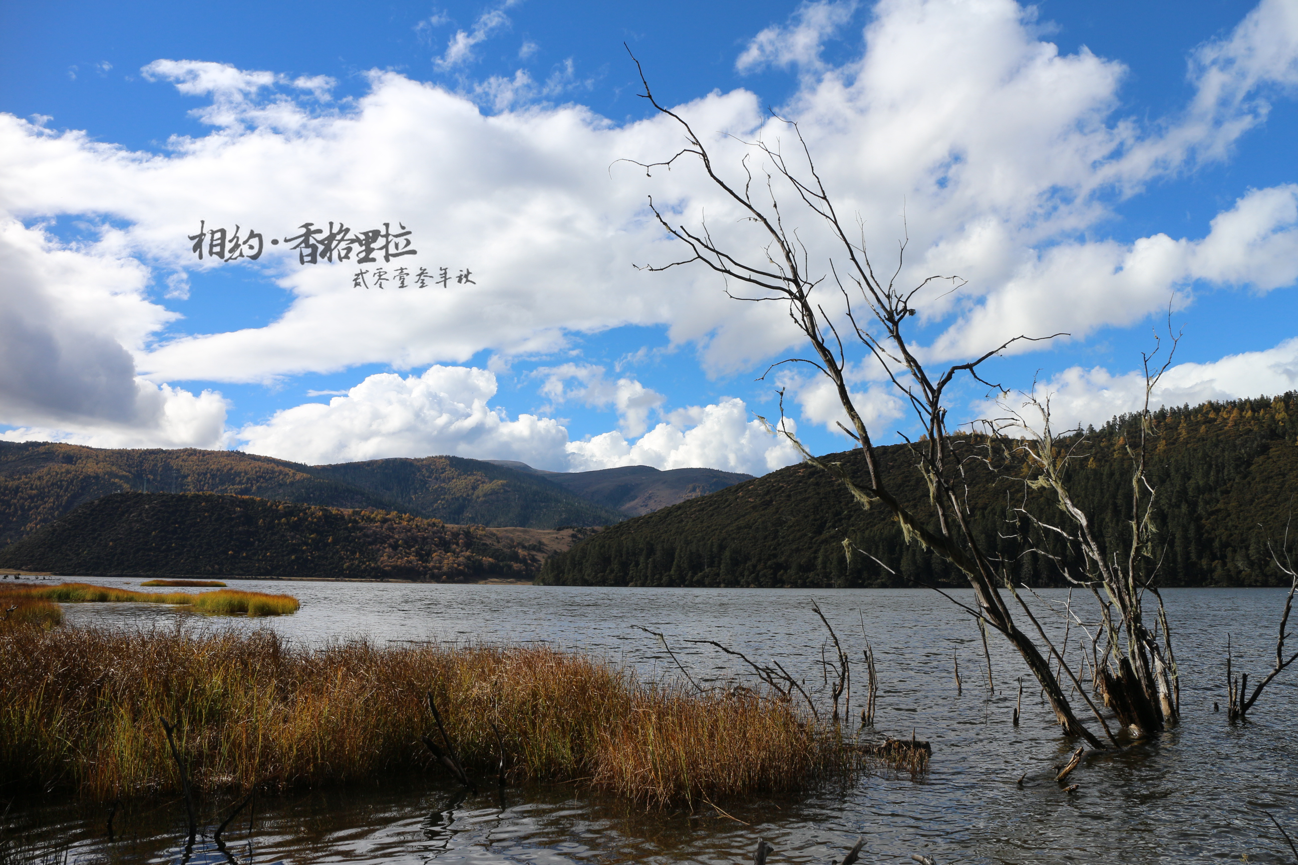 丽江 香格里拉5天游——10周年我们走进了云南