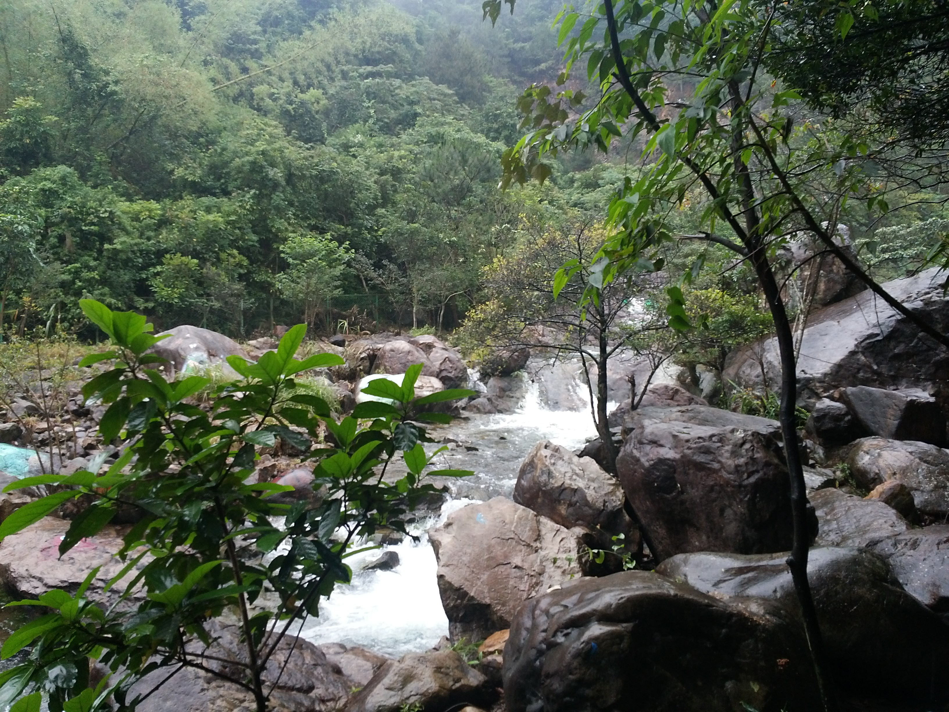 白水寨风景名胜区图片