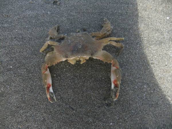 台山下川岛旅游攻略游记 - 台山游记攻略