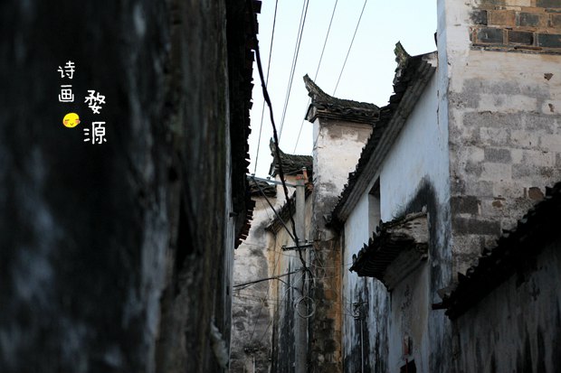 【至美中国】水墨画卷 · 婺源散记 - 婺源游记