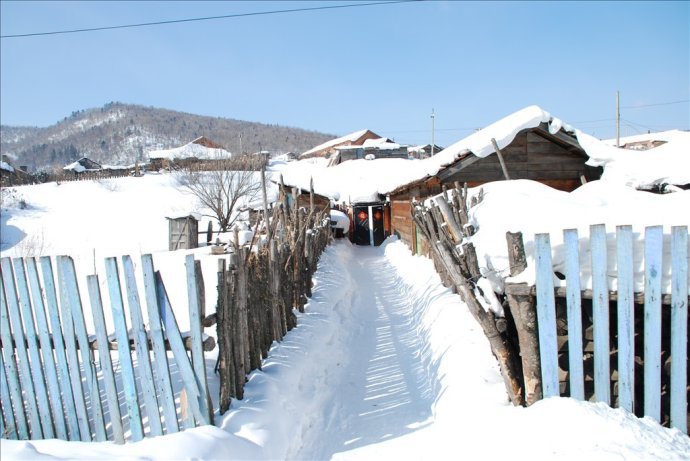 亭亭白桦 北国の雪---黑龙江看雪 哈尔滨/大平台/伊春/牡丹江/卫星