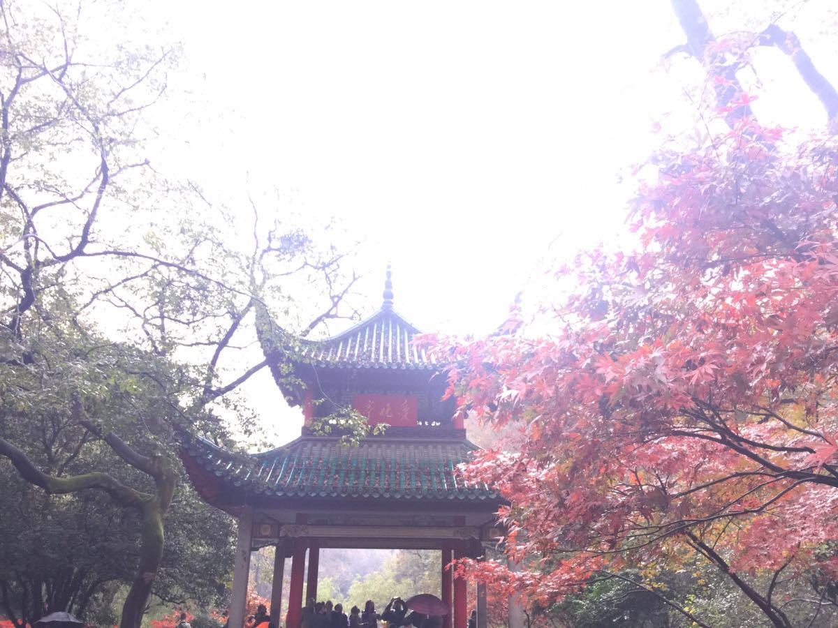 【携程攻略】湖南长沙岳麓山好玩吗,湖南岳麓山景点样