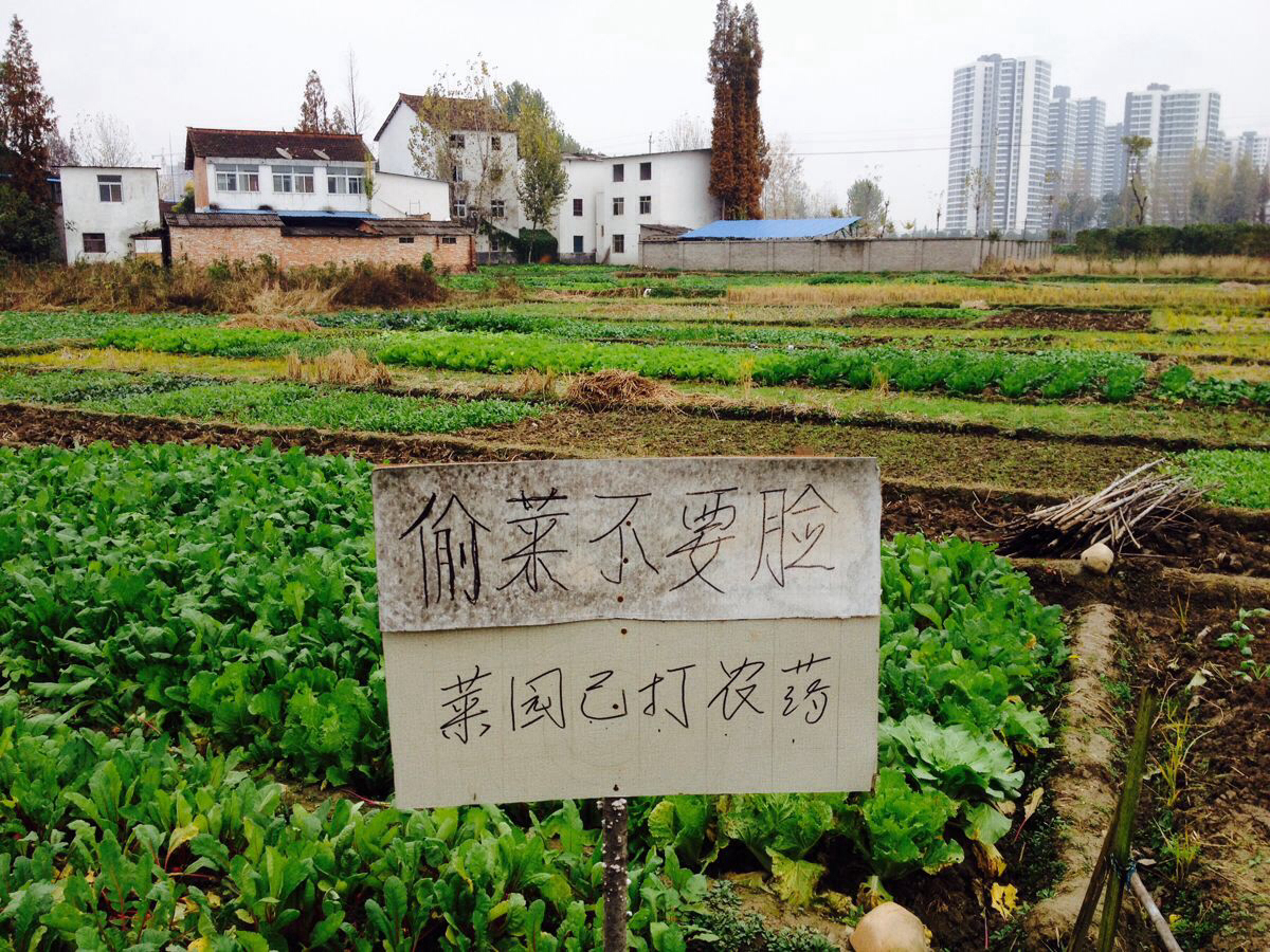 【i 旅行】汉中小城故事多图片