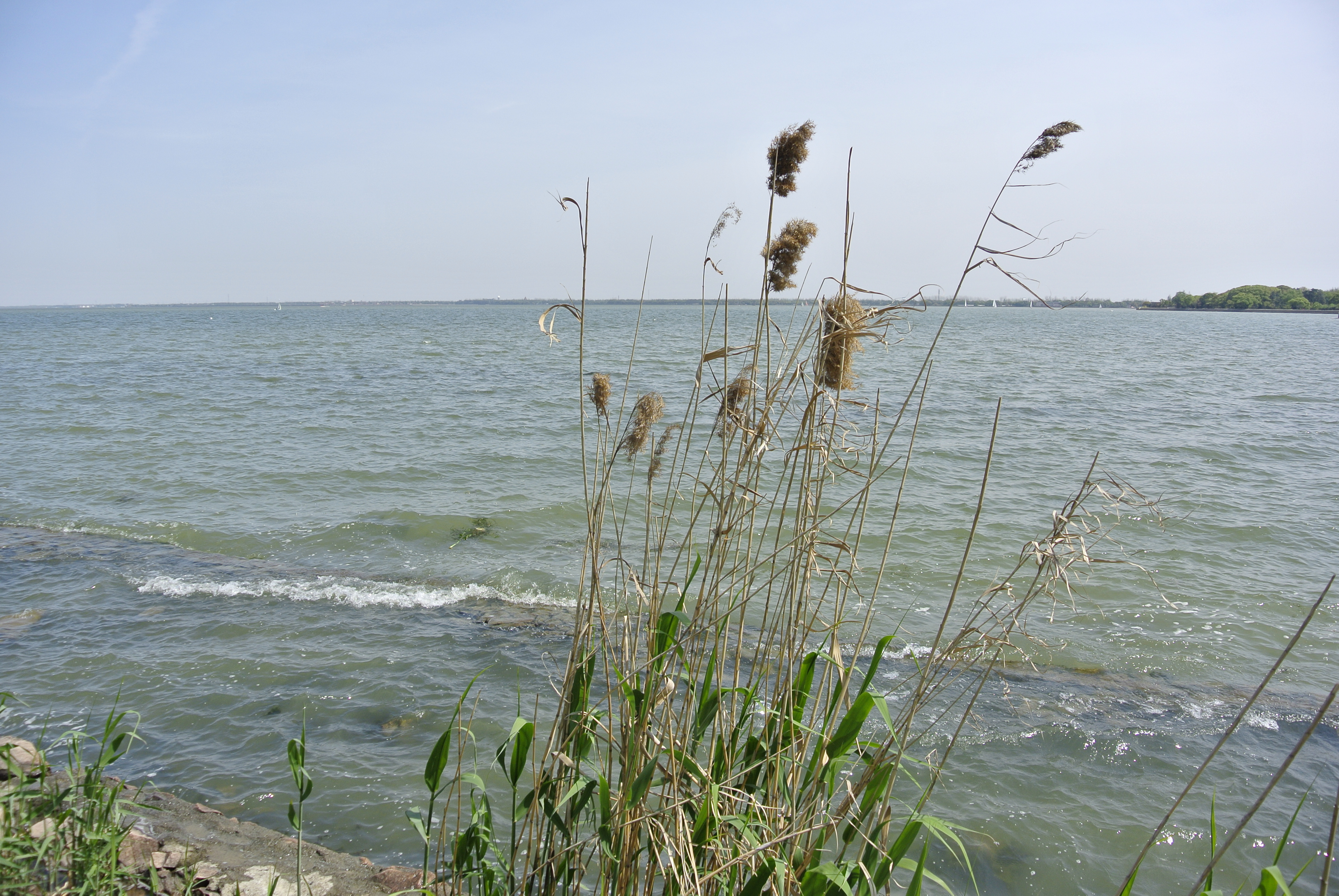 上海自驾游-【淀山湖风景区】