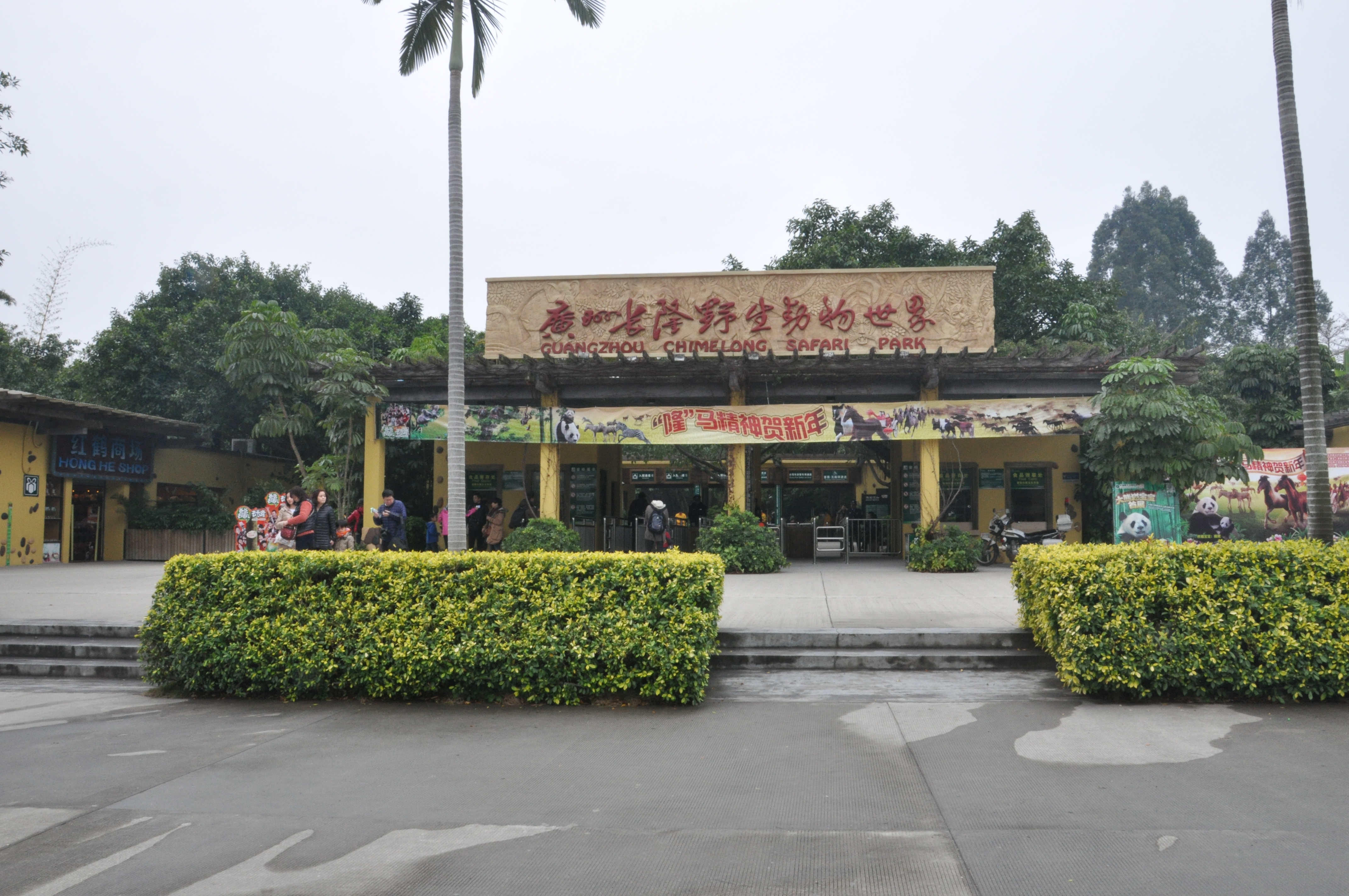 长隆野生动物世界图片